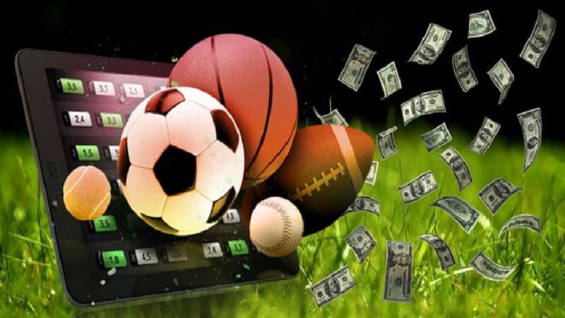 Các Loại Cược Phổ Biến và Cách Thức Tham Gia Hiệu Quả trong Thể Thao d79bet